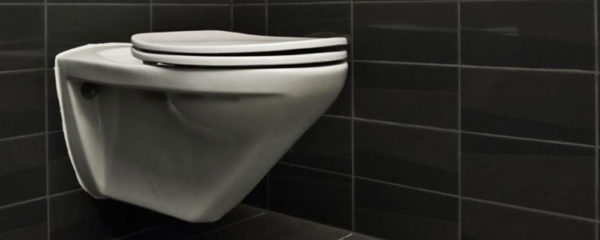 WC à poser