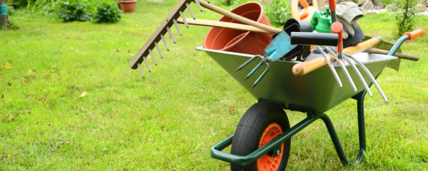 aménagement de jardin